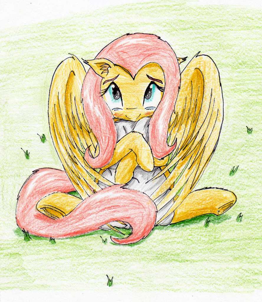 1526974 Safe Artist 40kponyguy Derpibooru Exclusive Fluttershy