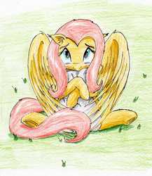 Size: 1996x2301 | Tagged: safe, artist:40kponyguy, derpibooru exclusive, fluttershy, pegasus, pony, blushing, cute, ear fluff, female, floppy ears, hug, looking at you, looking up, looking up at you, mare, pillow, pillow hug, shyabetes, solo, spread wings, teary eyes, traditional art, wings