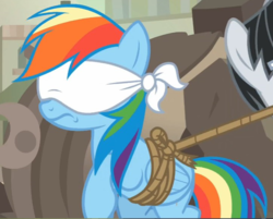 Size: 720x579 | Tagged: safe, screencap, rainbow dash, withers, pegasus, pony, daring done?, g4, blindfold, bound wings, cropped, henchmen, male, offscreen character, rainbond dash, solo focus, somnambula (location), stallion, tied up