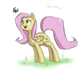 Size: 1700x1700 | Tagged: safe, artist:hypno, fluttershy, butterfly, pony, g4, colored sketch, cute, folded wings, looking at something, shyabetes, signature, simple background