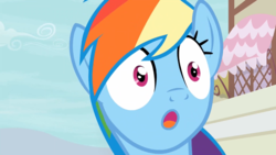 Size: 1366x768 | Tagged: safe, screencap, rainbow dash, pegasus, pony, daring done?, g4, :o, bust, discovery family logo, faic, female, mare, open mouth, portrait, rainbow dash is best facemaker, solo, wide eyes