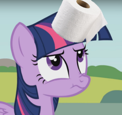 Size: 600x564 | Tagged: safe, edit, edited screencap, screencap, twilight sparkle, alicorn, pony, g4, female, horn, horn grab, horn guard, horn impalement, looking up, solo, the uses of unicorn horns, toilet paper, twilight sparkle (alicorn), twilight sparkle is not amused, unamused