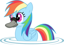 Size: 994x700 | Tagged: safe, artist:twitchy-tremor, rainbow dash, bird, duck pony, goose, pegasus, pony, swan, g4, animal, duck bill, female, literal duck face, mare, pegaduck, rainbow duck, simple background, solo, swimming, transparent background
