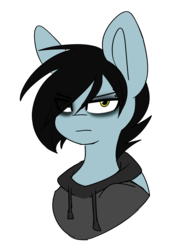 Size: 1047x1440 | Tagged: safe, artist:despotshy, oc, oc only, oc:tyler, pony, bust, clothes, hoodie, male, portrait, simple background, solo, stallion, transparent background