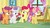 Size: 1920x1080 | Tagged: safe, screencap, apple bloom, kettle corn, scootaloo, sweetie belle, g4, marks and recreation, my little pony: friendship is magic, cutie mark crusaders, discovery family logo