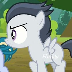 Size: 330x331 | Tagged: safe, screencap, rumble, pegasus, pony, g4, marks and recreation, colt, discovery family logo, male, solo