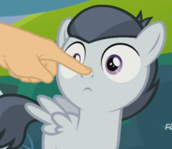 Size: 500x434 | Tagged: safe, edit, screencap, rumble, pegasus, pony, g4, marks and recreation, boop, boop edit, colt, discovery family logo, male