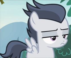 Size: 912x742 | Tagged: safe, screencap, rumble, pegasus, pony, g4, marks and recreation, colt, cropped, male, solo, unimpressed