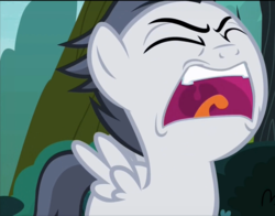 Size: 946x742 | Tagged: safe, screencap, rumble, pegasus, pony, g4, marks and recreation, angry, colt, eyes closed, faic, male, mawshot, open mouth, screaming, solo, spread wings, tongue out, uvula, wings, yelling