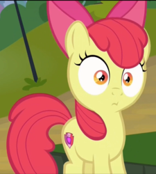 Size: 667x742 | Tagged: safe, screencap, apple bloom, earth pony, pony, g4, marks and recreation, cropped, female, solo, wat