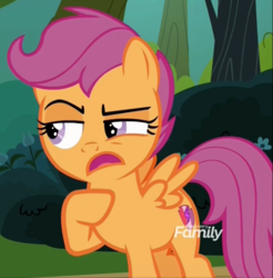 Size: 694x706 | Tagged: safe, screencap, scootaloo, pony, g4, marks and recreation, discovery family logo, solo focus