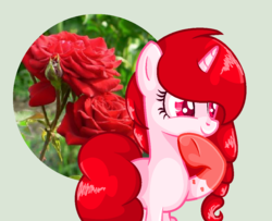 Size: 1022x828 | Tagged: safe, artist:xxreddevil12xx, oc, oc only, oc:rose lovegood, pony, unicorn, female, flower, mare, rose, solo