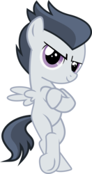 Size: 1124x2134 | Tagged: safe, artist:frownfactory, rumble, pegasus, pony, g4, marks and recreation, .svg available, bipedal, colt, crossed arms, crossed hooves, male, simple background, smug, solo, standing, svg, transparent background, underhoof, vector, wings