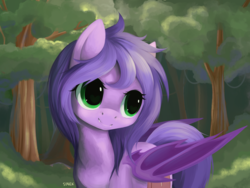 Size: 4000x3000 | Tagged: safe, artist:sonek k, oc, oc only, oc:midnight reverie, bat pony, pony, forest, green eyes, solo