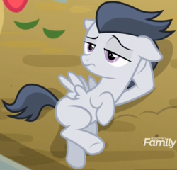 Size: 972x932 | Tagged: safe, screencap, apple bloom, rumble, pegasus, pony, g4, marks and recreation, colt, cropped, dirt, discovery family logo, draw me like one of your french girls, eyebrows, floppy ears, foal, male, offscreen character, pose, purple eyes, raised eyebrow, solo, stupid sexy rumble, tail, unamused, wings