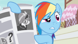 Size: 806x454 | Tagged: safe, screencap, a.k. yearling, rainbow dash, pegasus, pony, daring done?, g4, animated, bench, confused, female, gif, mare, multicolored mane, newspaper, picture, pointing, raised eyebrow, solo, talking, worried