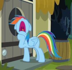 Size: 519x506 | Tagged: safe, screencap, rainbow dash, pony, daring done?, g4, animated, cropped, female, gif, knocking, nose in the air, volumetric mouth