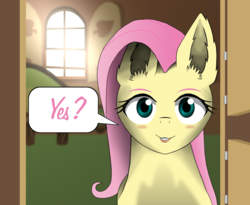 Size: 800x655 | Tagged: safe, artist:zeronitroman, fluttershy, pegasus, pony, g4, female, looking at you, mare, request, requested art, solo