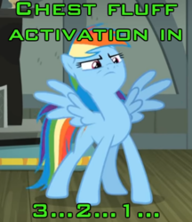 Size: 500x580 | Tagged: safe, edit, edited screencap, screencap, rainbow dash, pegasus, pony, daring done?, g4, chest fluff, female, image macro, meme, solo, spread wings, wings