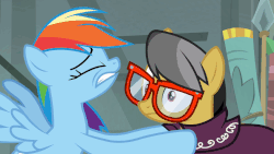 Size: 845x475 | Tagged: safe, screencap, a.k. yearling, daring do, rainbow dash, pony, daring done?, g4, animated, female, gif