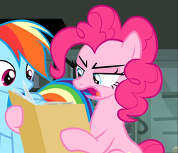 Size: 948x816 | Tagged: safe, screencap, pinkie pie, rainbow dash, pony, daring done?, g4, cropped, reaction image, what the fuck am i reading