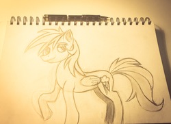 Size: 3034x2196 | Tagged: safe, rainbow dash, pony, g4, bedroom eyes, female, high res, neigh, solo, traditional art
