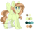 Size: 2000x1725 | Tagged: safe, artist:beashay, oc, oc only, oc:sunflower seed, pegasus, pony, female, mare, reference sheet, simple background, solo, transparent background