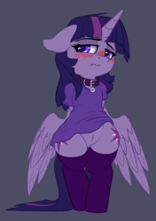 Size: 2883x4086 | Tagged: safe, artist:duop-qoub, twilight sparkle, alicorn, pony, semi-anthro, descended twilight, g4, arm behind back, blushing, clothes, collar, cute, featureless crotch, female, floppy ears, gray background, lidded eyes, mare, pet tag, pony pet, pubic fluff, pubic mound, shirt, simple background, socks, solo, thigh highs, twiabetes, twilight sparkle (alicorn), wings