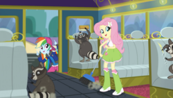 Size: 1280x720 | Tagged: safe, screencap, fluttershy, rainbow dash, raccoon, equestria girls, g4, get the show on the road, my little pony equestria girls: summertime shorts, backwards ballcap, baseball cap, broom, cap, cleaning, clothes, female, geode of fauna, hat, open mouth, pants, rapper dash, school bus, skirt, tank top