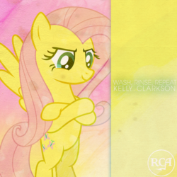 Size: 800x800 | Tagged: safe, artist:hornflakes, artist:penguinsn1fan, fluttershy, pony, g4, cover, female, kelly clarkson, parody, solo