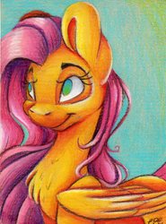 Size: 1220x1652 | Tagged: safe, artist:cutepencilcase, fluttershy, pegasus, pony, g4, bust, chest fluff, colored pencil drawing, female, folded wings, looking away, mare, no pupils, portrait, smiling, solo, traditional art