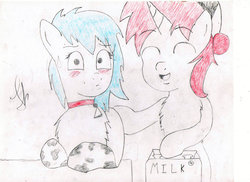 Size: 1024x744 | Tagged: safe, artist:jenjan23all, oc, oc only, pony, simple, solo, traditional art