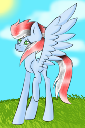 Size: 770x1154 | Tagged: artist needed, safe, oc, oc only, oc:wind wing, pegasus, pony, base used, sad and happy, solo