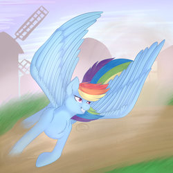 Size: 2000x2000 | Tagged: safe, artist:ray-frost, rainbow dash, pegasus, pony, g4, chest fluff, female, flying, grin, high res, large wings, mare, smiling, solo, spread wings, windmill, wings