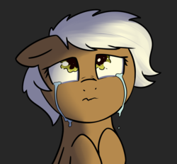 Size: 1000x923 | Tagged: safe, artist:neuro, oc, oc only, oc:frosty hooves, pony, crying, sad, simple background, solo