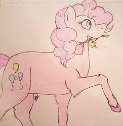 Size: 1242x1280 | Tagged: safe, artist:sarcastictrixie, pinkie pie, earth pony, pony, g4, female, flower, flower in mouth, mouth hold, rose, solo, traditional art, unshorn fetlocks