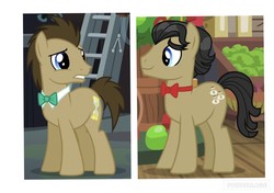 Size: 1024x720 | Tagged: safe, edit, edited screencap, screencap, doctor whooves, filthy rich, time turner, earth pony, pony, g4, bow, cutie mark, filthywhooves, male, money, shipping, smiling, stallion, voice actor joke, worried