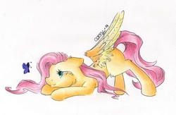 Size: 1943x1266 | Tagged: safe, artist:coffytacotuesday, fluttershy, butterfly, pony, g4, female, solo, traditional art