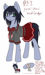 Size: 768x1280 | Tagged: safe, artist:whitenoiseghost, oc, oc only, oc:yasei urami, bandage, reference sheet, sailor uniform