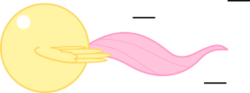 Size: 283x105 | Tagged: safe, artist:mega-poneo, fluttershy, pegasus, pony, g4, ball, crossover, female, flutterball, mare, motion lines, rolling, simple background, solo, sonic the hedgehog (series), spin dash, spread wings, transparent background, wings