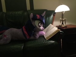 Size: 3264x2448 | Tagged: safe, artist:epicrainbowcrafts, twilight sparkle, pony, unicorn, g4, book, couch, high res, irl, photo, plushie, reading, solo