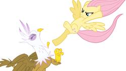 Size: 1280x720 | Tagged: safe, artist:samueljcollins1990, fluttershy, gilda, griffon, pegasus, pony, g4, griffon the brush off, abuse, gildabuse, karma, kicking, out of character, payback, revenge, simple background, white background