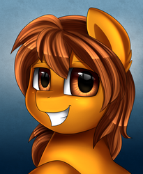 Size: 1446x1764 | Tagged: safe, artist:pridark, oc, oc only, oc:zip circuit, pony, commission, grin, simple background, smiling, solo