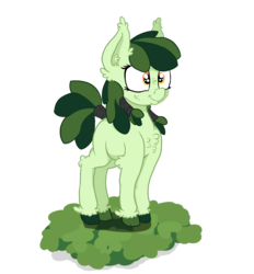 Size: 1792x1933 | Tagged: safe, artist:paskanaakka, derpibooru exclusive, oc, oc only, oc:sweetleaf, earth pony, pony, chest fluff, colored hooves, ear fluff, freckles, simple background, smiling, solo, tail wrap, transparent background, unshorn fetlocks