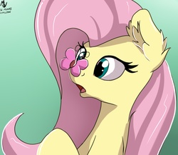 Size: 2538x2200 | Tagged: safe, artist:php80, fluttershy, butterfly, pegasus, pony, g4, 30 minute art challenge, cross-eyed, cute, ear fluff, eyes on the prize, female, green background, high res, insect on nose, mare, open mouth, shyabetes, simple background, solo