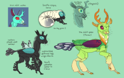 Size: 1743x1096 | Tagged: safe, artist:jayrockin, queen chrysalis, thorax, changedling, changeling, changeling larva, changeling queen, tiny sapient ungulates, g4, alternate design, changeling king, fluffy, grub, king thorax, realistic