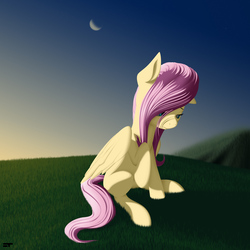 Size: 3300x3300 | Tagged: safe, artist:styroponyworks, fluttershy, pegasus, pony, g4, anatomically incorrect, female, grass, grass field, high res, incorrect leg anatomy, looking away, looking down, mare, moon, outdoors, raised hoof, sad, sitting, sky, solo, stray strand, three quarter view, wings
