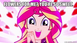 Size: 600x337 | Tagged: safe, edit, edited screencap, screencap, sunset shimmer, equestria girls, g4, my little pony equestria girls: summertime shorts, pet project, bronybait, image macro, meme, memeful.com, shimmering the gecko