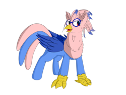 Size: 4000x3000 | Tagged: safe, artist:periodicbrony, oc, oc only, oc:vivian iolani, classical hippogriff, hippogriff, 2018 community collab, derpibooru community collaboration, female, glasses, red eyes, request, simple background, solo, transparent background