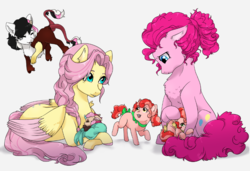 Size: 932x639 | Tagged: safe, artist:gamblingfoxinahat, fluttershy, pinkie pie, oc, oc:levity, oc:mirage, oc:topsy, oc:turvy, hybrid, pony, g4, interspecies offspring, multicolored hair, offspring, older, parent:cheese sandwich, parent:discord, parent:fluttershy, parent:pinkie pie, parents:cheesepie, parents:discoshy, prone, story included